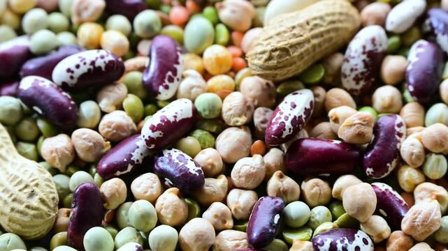 Common legumes that are the basis of plant-focused diets