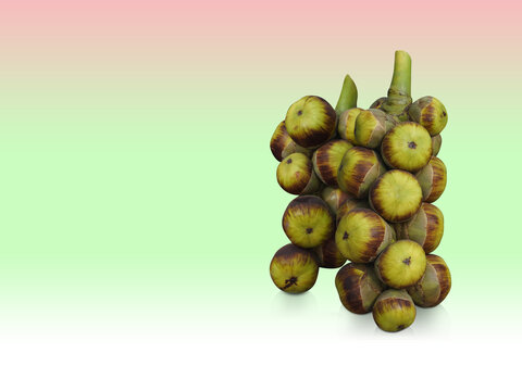 front view many borassus flabellifer on pink and green background, food, nature, fresh, copy space