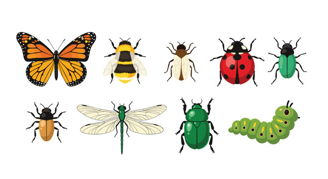 Assorted insects and bugs including a monarch butterfly, bumblebee, dragonfly, various beetles, and a green caterpillar