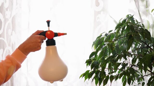 Manual Water Atomizer Spraying Green Leaves with Airy SFX
