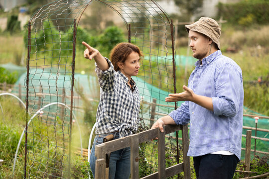 Female worker in jeans and checkered shirt is arguing with male neighbor of garden and country plot, querulous angry ranch owners. Customers and workers sort things out, shout and insult each other