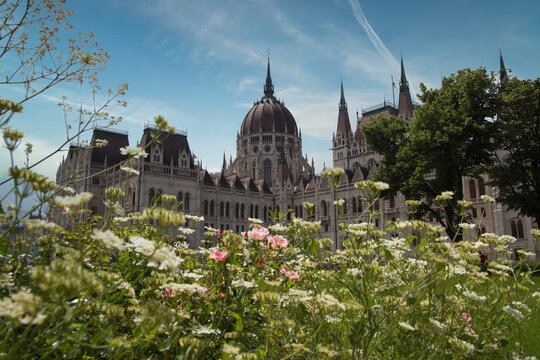 Parlament Budapest mit Blumen