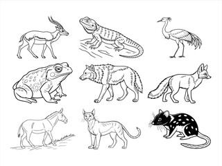 the animal bird and flower black vector bundle