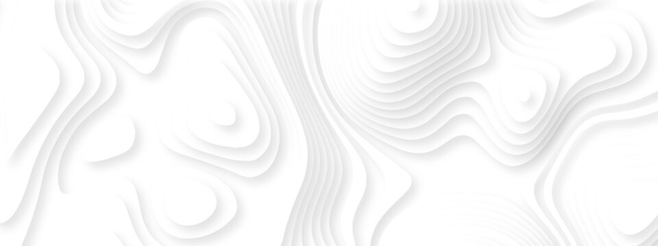 Vector lines seamless pattern sea map topography design. White wave paper curved reliefs Contour maps. Discovery topographic texture backdrop landscape earth style trail map geography design.	