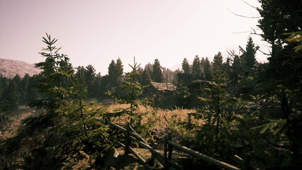 Serene scene of individual exploring vast grassy fields, Quiet image of someone moving through nature with reflective mood and distant trees