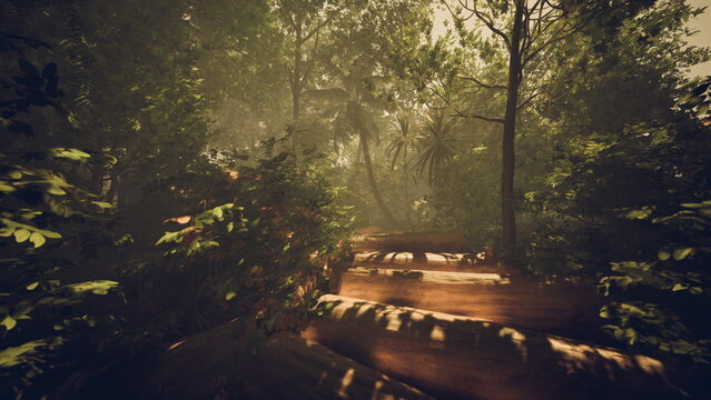 golden morning light on forest walkway, soft shadows and crisp leaf textures, warm palette evokes cozy outdoor lifestyle and wellness feelings