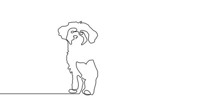 Dog line outline continuous art pet one animal puppy illustration silhouette. Line dog outline abstract doodle vector logo drawing sketch linear icon happy dachshund simple white background cute walk.