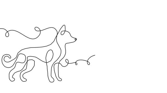 Dog line outline continuous art pet one animal puppy illustration silhouette. Line dog outline abstract doodle vector logo drawing sketch linear icon happy dachshund simple white background cute walk.