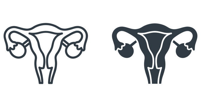 Medical illustration of human female anatomy showing uterus fallopian tubes and ovaries icons