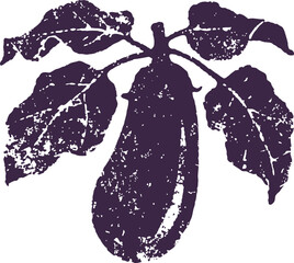 Obraz premium Vintage eggplant engraving with leaves, natural vegetable illustration in classic botanical