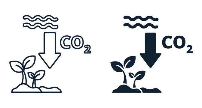 Vector illustration of carbon sequestration process with plants absorbing CO2 to protect environment