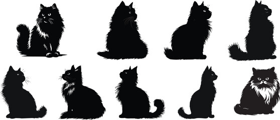 cat silhouettes vector set. Fluffy, short hair and slender feline breeds in minimalist style. Black and white collection isolated on white background for graphic design. © SILHOUETTE-QUEEN