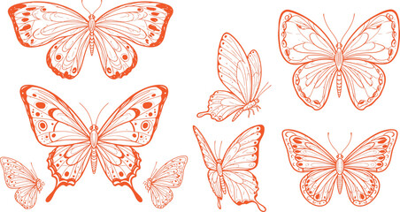 Fototapeta premium Illustration of various butterfly shapes and designs in orange on white background