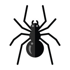 Black spider with eight distinct legs and two prominent eyes sitting upright