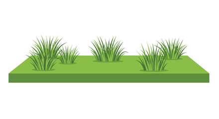 Obraz premium Several fresh green grass clumps growing on a flat rectangular patch of turf with a clean white background.