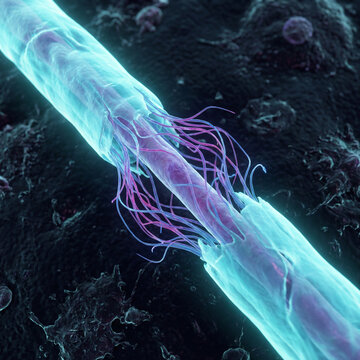 Macro scientific render of axonal degeneration