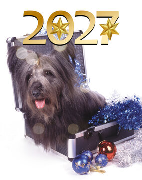 2027 Merry Christmas and Happy New Year