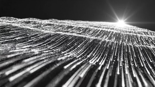 3D render abstract luxury background featuring elegant glowing thin lines white particles black backdrop. Futuristic high-tech texture design. Perfect for premium corporate web presentations. 
