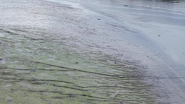 Aerial view muddy river mudflats at low tide