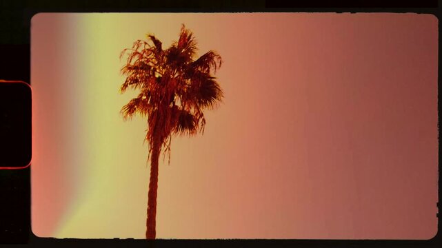 Palm tree in sun on handheld super 8 vintage film frame with sprocket, orange sky at golden hour, sun flare, light leak and filmstrip noise, 4k retro summer vibe