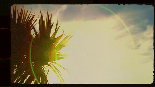 Palm tree in sun on handheld super 8 vintage film frame with sprocket, sun flare at golden hour, light leak and filmstrip noise, 4k retro summer vibe