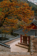 Fototapeta premium Autumn at Hwaeomsa Temple, South Korea