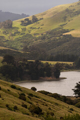 Naklejka premium Scenic views of Hooper's Inlet, near Portobello, Dunedin, Otago, New Zealand