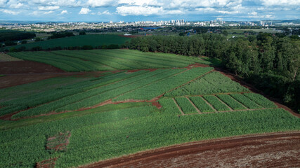 Aerial landscape of experimental sugarcane plantation with Ribeirao Preto city skyline
