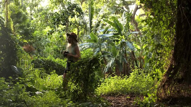 Honolua Bay in North Maui, Hawaii. Enchanted hidden Tropical lush forest in Maui. Magic garden. High quality 4k footage