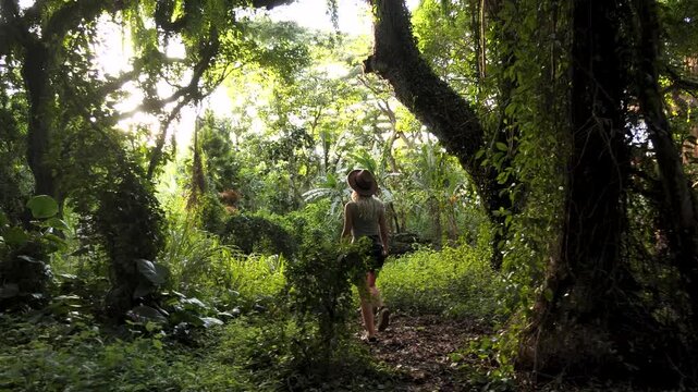 Honolua Bay in North Maui, Hawaii. Enchanted hidden Tropical lush forest in Maui. Magic garden. High quality 4k footage