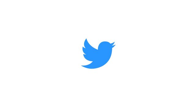 Twitter Icon Animated on White and Green Screen 