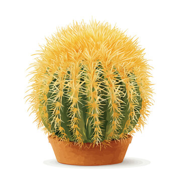 Simple flat 2D vector graphic of a Golden Barrel Cactus in modern icon style, isolated on a white canvas