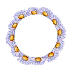 Fototapeta premium Watercolor wreath of purple asters arranged in a circle. Delicate hand-painted botanical illustration for invitations, prints, logos, packaging, and seasonal decor.