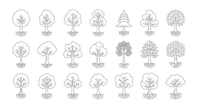 tree icons set, outline style, nature elements, forest illustration