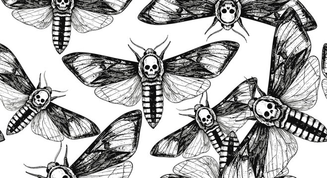 Death's-head moth illustration, black and white pattern
