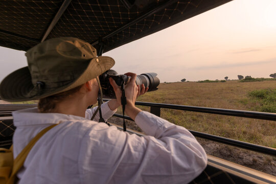 A tourist photographs a wild lion during a safari tour in Kenya and Tanzania. Concept Travel and adventure through wild Africa. A woman with a camera in an open-top safari car is traveling in Africa.