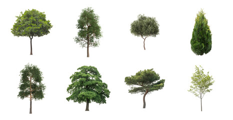 Fototapeta premium Collection of 8 different green trees isolated on a transparent background, showcasing various species and foliage shapes for architectural rendering or landscape design.