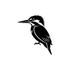 Fototapeta premium A bold black and white vector silhouette of a kingfisher bird perched. This high-contrast nature graphic features the bird's sharp beak and sleek profile on a white background.