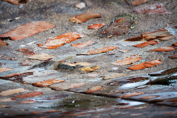Fototapeta premium Exposed brick fragments embedded in old concrete surface.