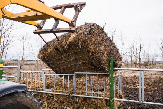 Tractor moving hay bales in a rural setting