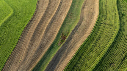 Naklejka premium Zenith aerial top-down view of vibrant green hay field patterns and textures