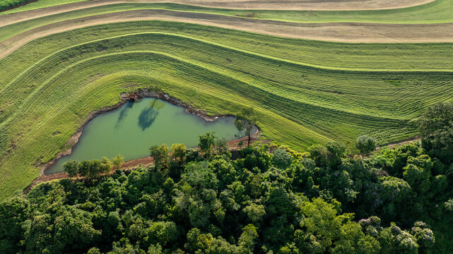 Aerial view of hay plantation with contour lines and a small pond on a farm