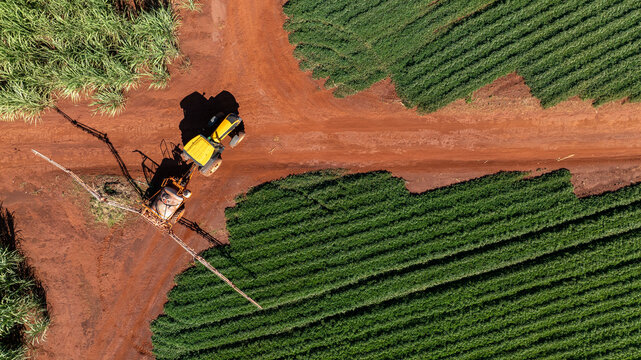 Top down aerial view of a tractor spraying pesticides on a green peanut plantation