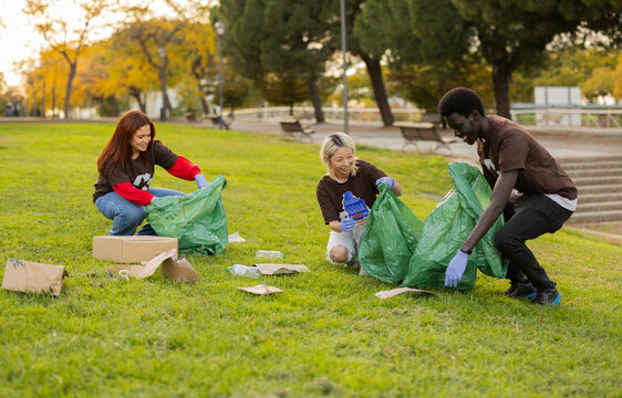 Friends collect litter in a park during sunset