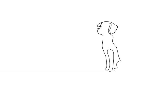 Dog cat line pet art logo animal outline puppy continuous illustration. Sketch dog cat line icon vector love doodle silhouette paw drawing kitten background linear design one sit graphic stroke vet