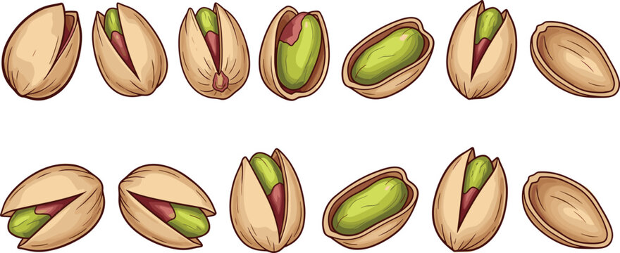 Hand drawn pistachio nut illustration set. Whole and open shells with green kernels and red pistil. Clean balanced design on white background with gray border.