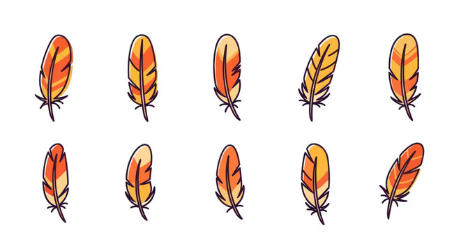 Colorful feather illustrations on white
