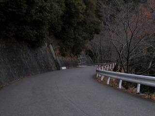 薄暗い早朝の山道