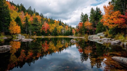 a scene at the White Mountain National Forest in New Hampshire showing beautiful fall colors, hundreds of trees above a lake
