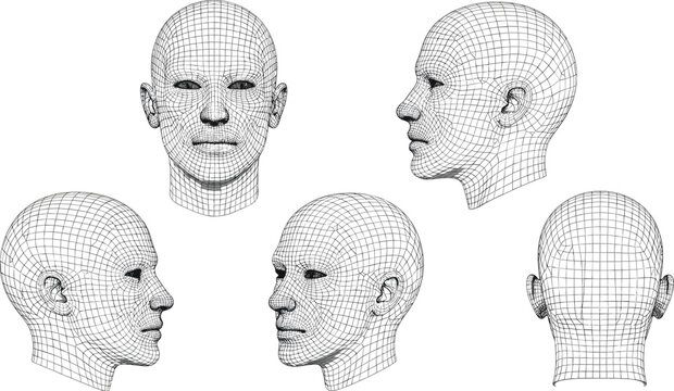 3D human head wireframe mesh set featuring front, profile, and back views for facial recognition, artificial intelligence, and digital anatomy concepts